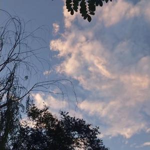 亚洲欧美激情另类
