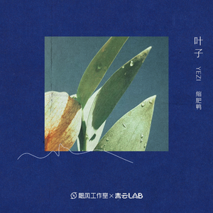 亚洲欧美激情另类
